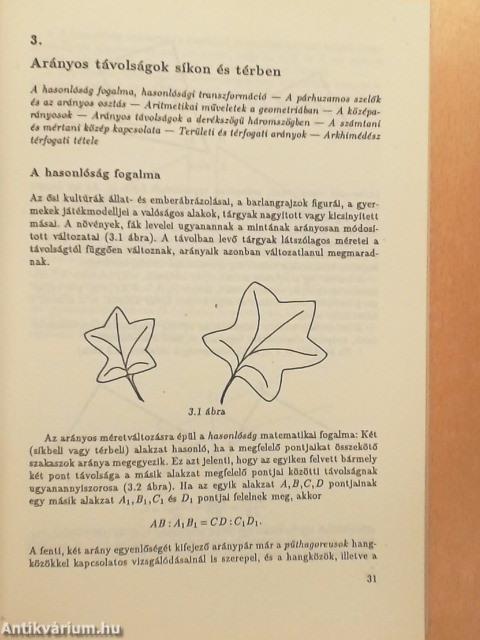 Arányok és talányok