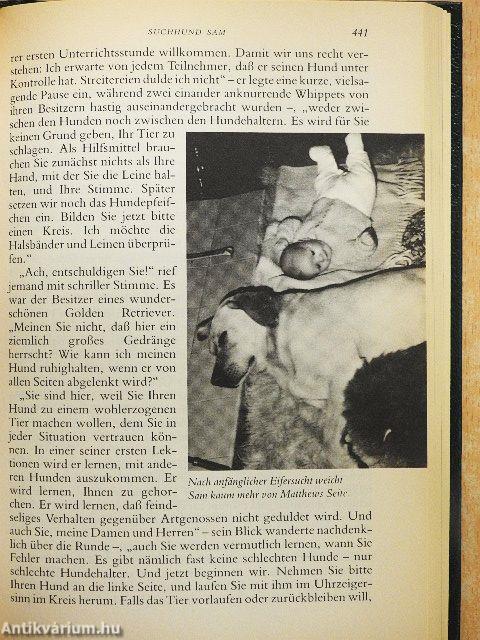 Reporter/Und gäbe es Hoffnung nicht/Unbestechlich/Suchhund Sam