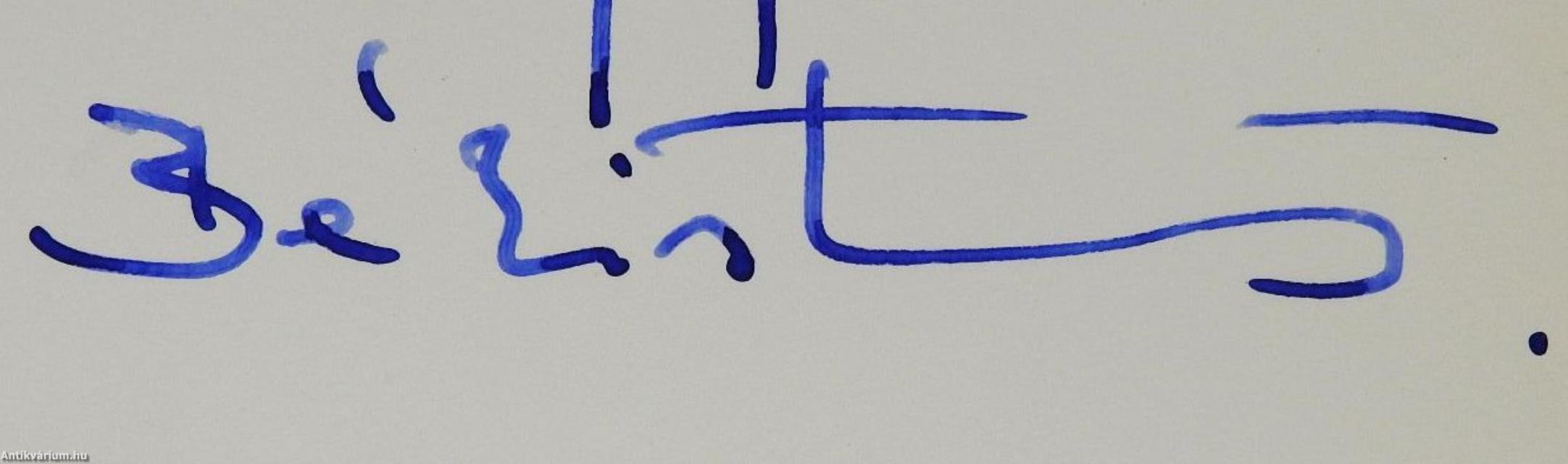 Írott ikon (dedikált példány)