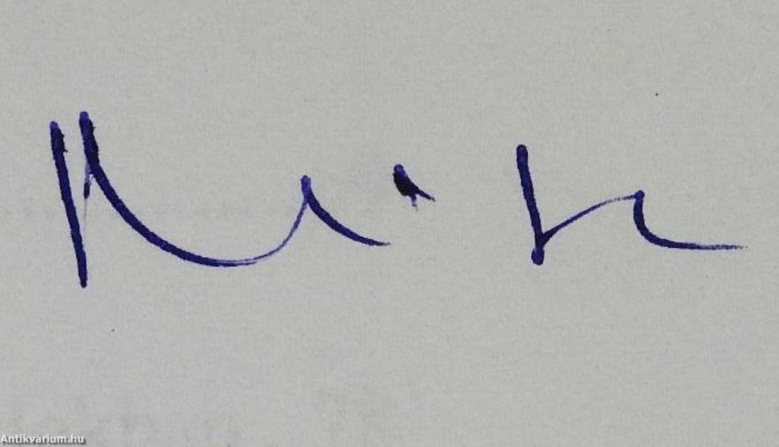 Tisztázatok (dedikált példány)