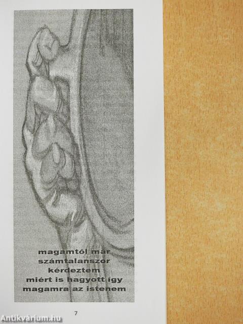 Évgyűrűk (dedikált példány)