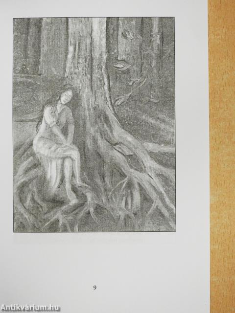 Gyökerek (dedikált példány)