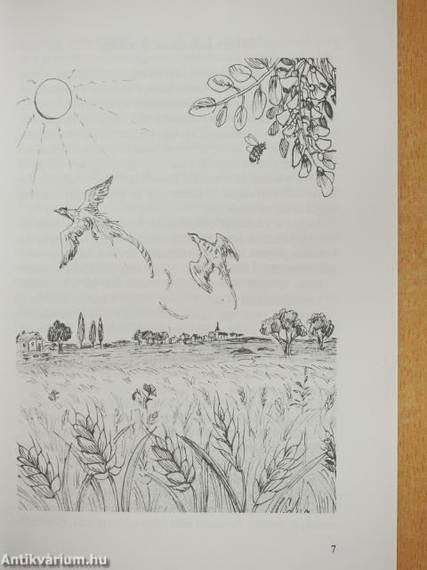 Elvesztett éden (dedikált példány)