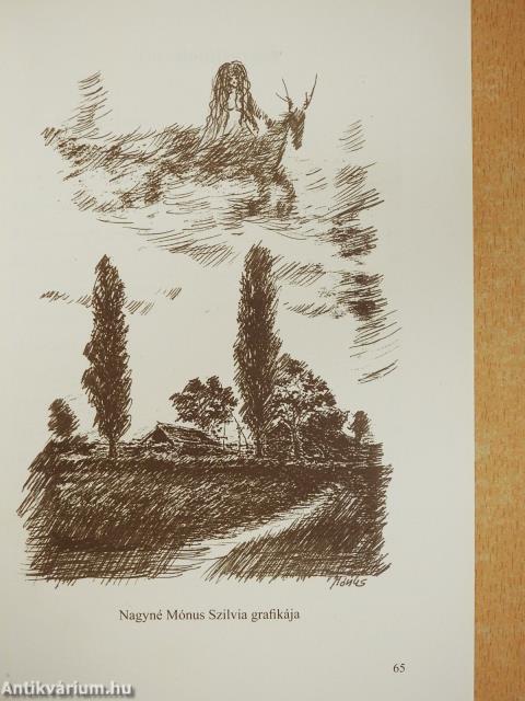 Nap és szív (dedikált példány)