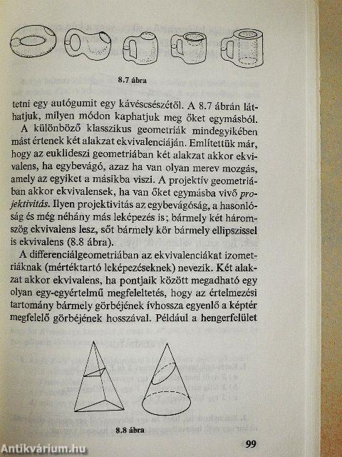 Bevezetés a topológiába