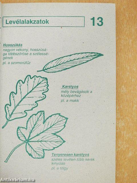 Fedezd fel a természetet