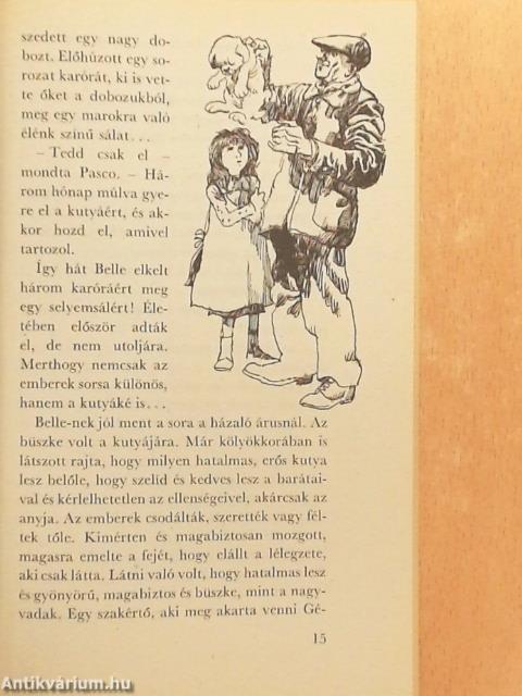 Belle és Sébastien