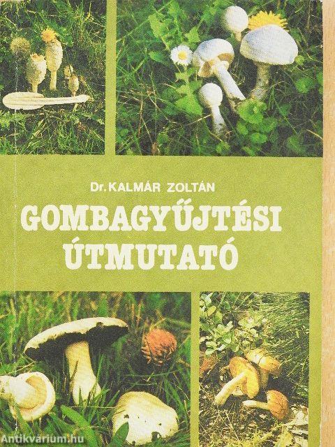 Gombagyűjtési útmutató