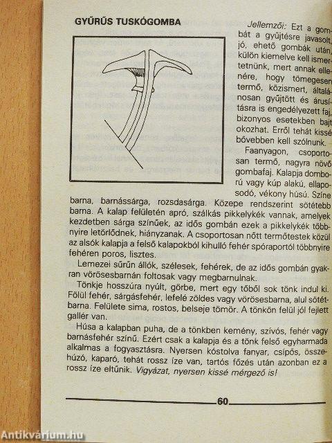 Gombagyűjtési útmutató