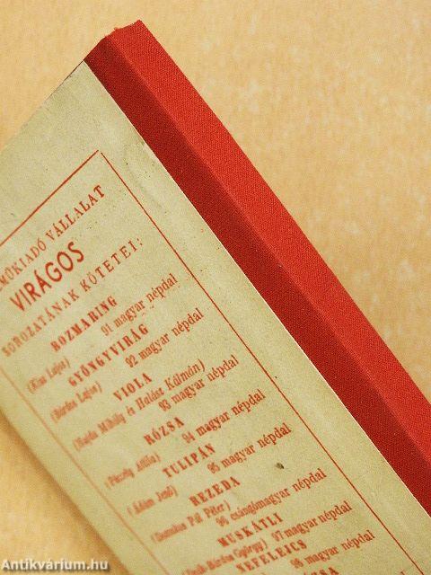 Tiszán innen Dunán túl