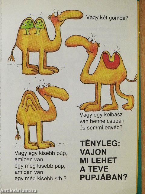 Amit a tevékről feltétlenül tudni kell