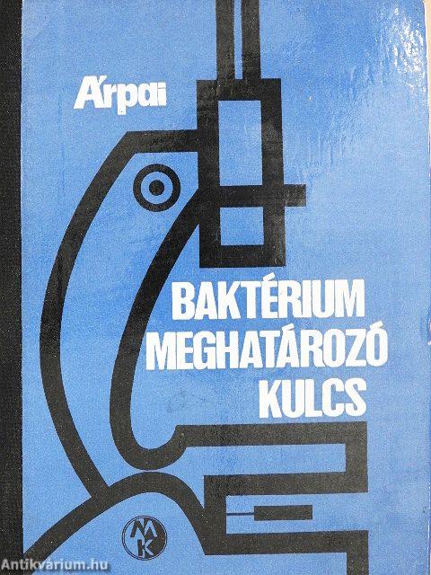 Baktériummeghatározó kulcs