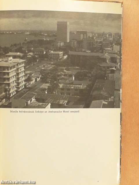 Tájfun Manila felett