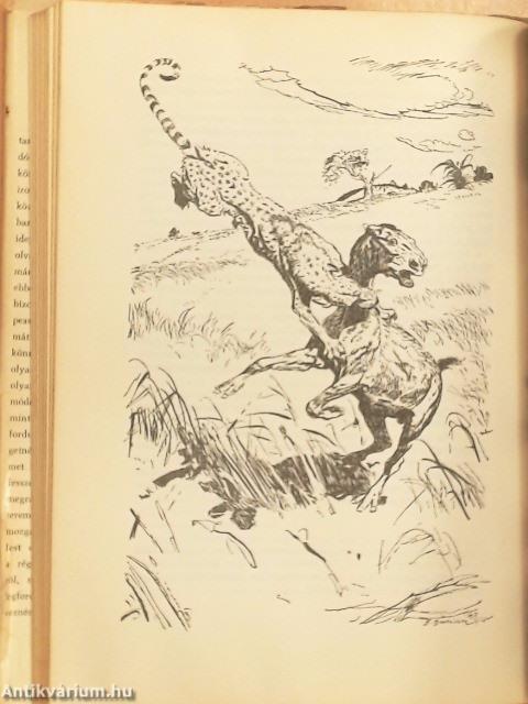 Az ősvilág állatóriásai