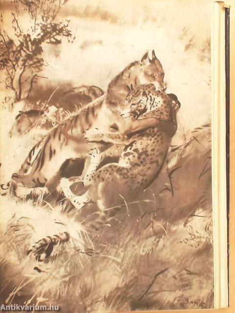 Az ősvilág állatóriásai