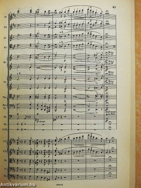 Symphonische Dichtungen für Orchester 7.