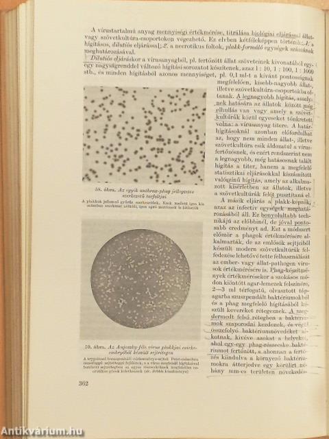 Orvosi mikrobiológia-immunitástan-parazitológia