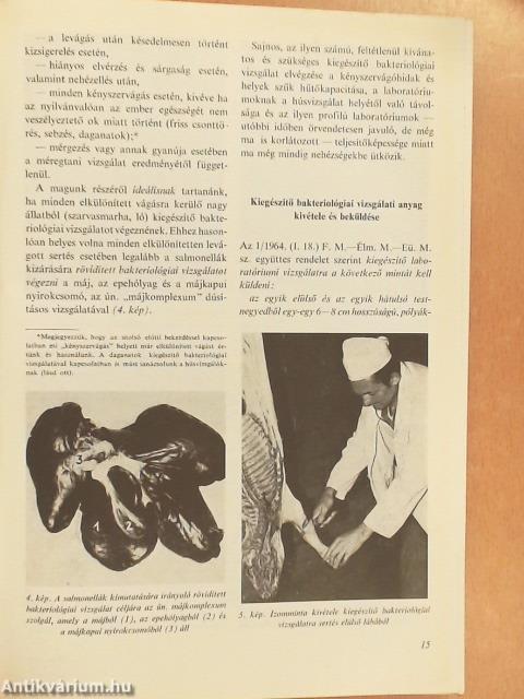 Húsvizsgálat képekben