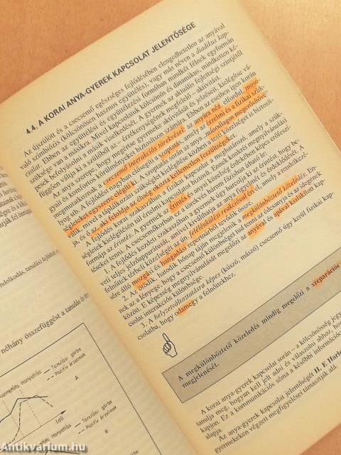 A fejlődéslélektan és a szocializáció alapjai