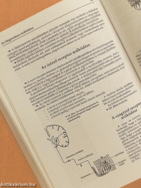 Élettan-kórélettan