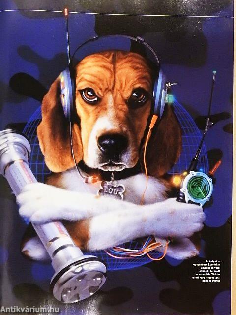 Cinema 2001. október