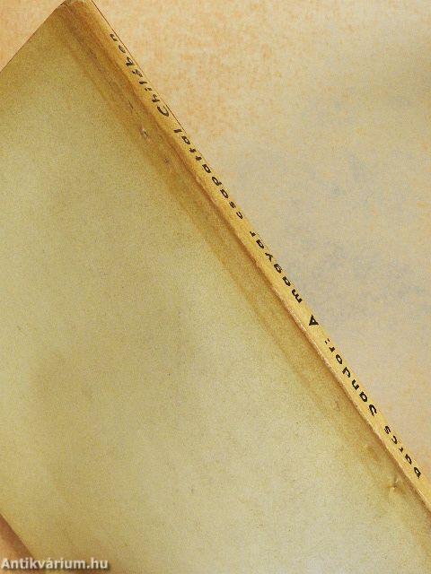 A magyar csapattal Chilében