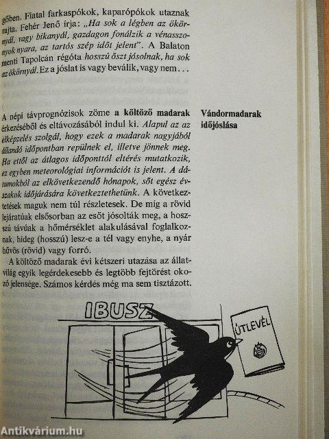 Időjós élővilág