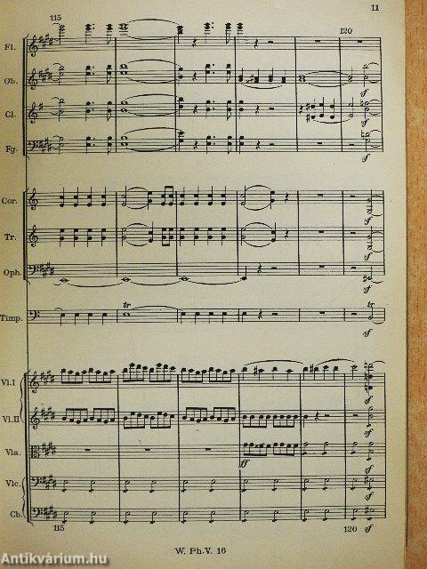 Ein Sommernachtstraum