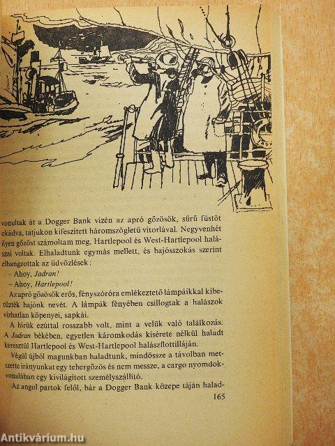 Kalózok, bálnák, tengerek