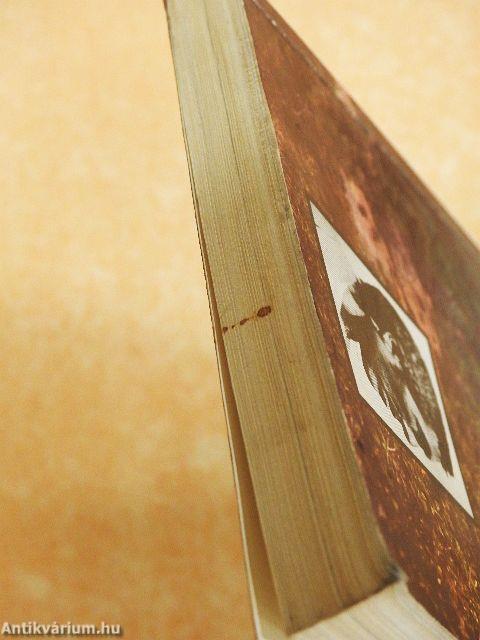 Ishi, az utolsó vadember