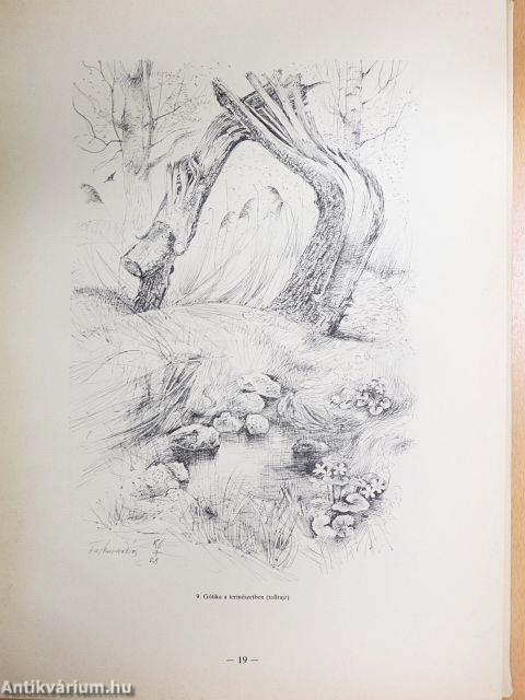 Farkas András rajzai