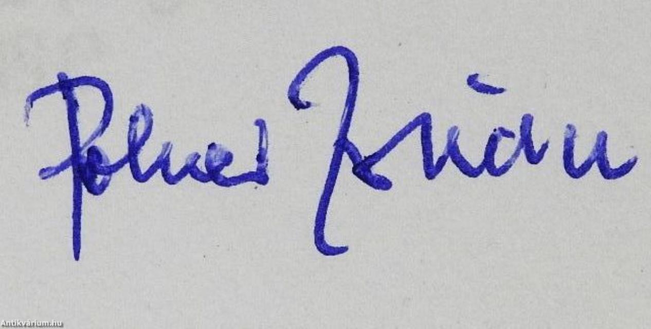 Papírrepülők (dedikált példány)