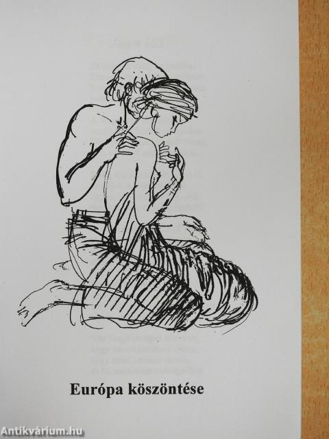 Papírrepülők (dedikált példány)