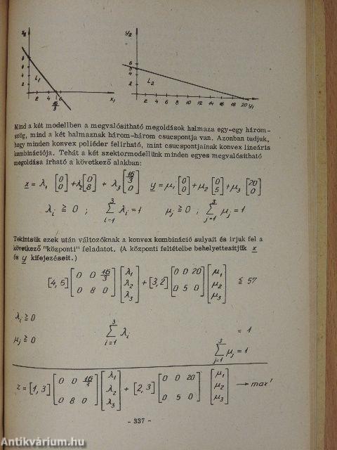 Bevezetés a gazdasági programozásba