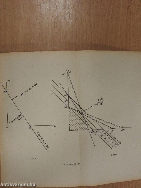 Bevezetés a gazdasági programozásba