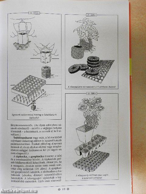 A növényszaporítás ábécéje