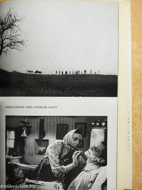 A látvány logikája