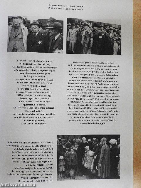 Múlt és Jövő 2004/3.