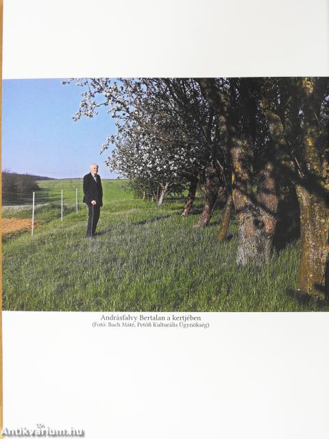 Mátyás és a török basa