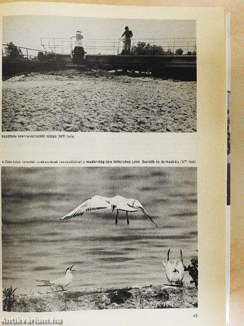 Földrajzi olvasókönyv III. - Magyarország