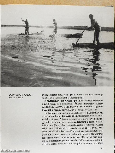 Kis-Balaton