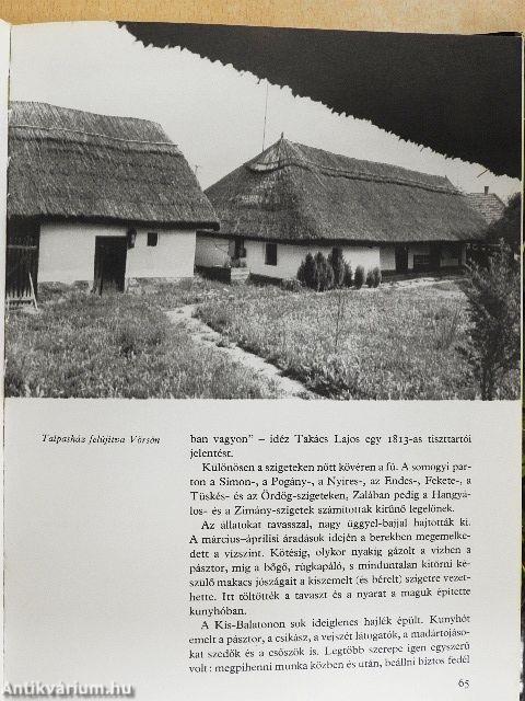 Kis-Balaton