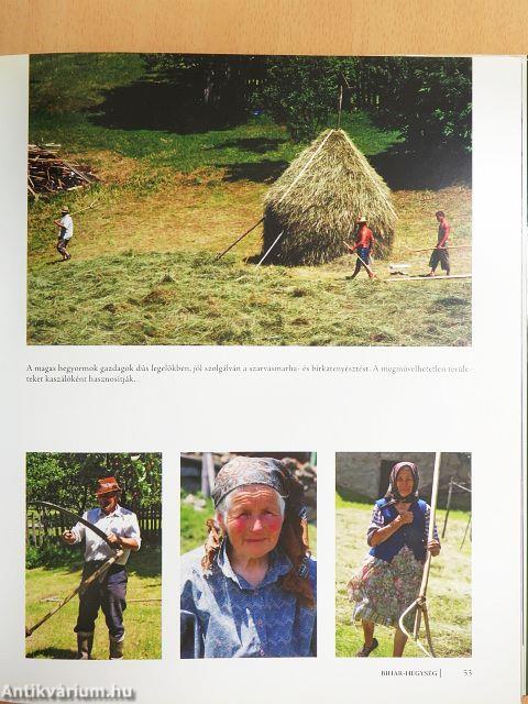 Székelyföld kapujában