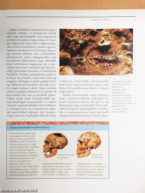 A történelem előtt/A korai civilizációk