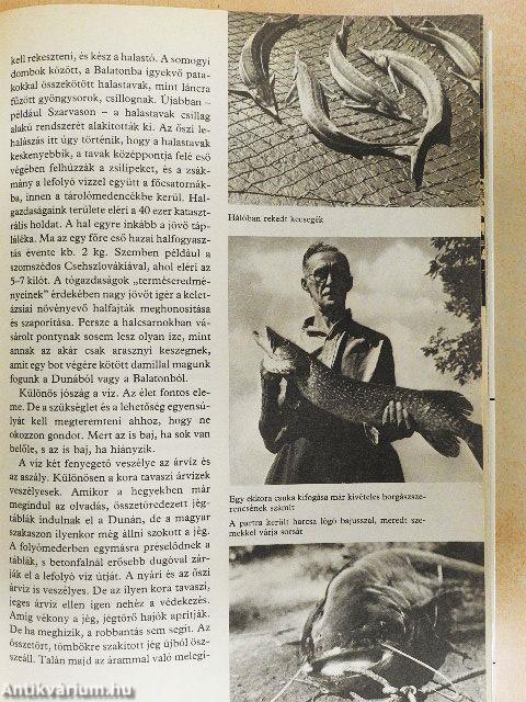 Magyarország