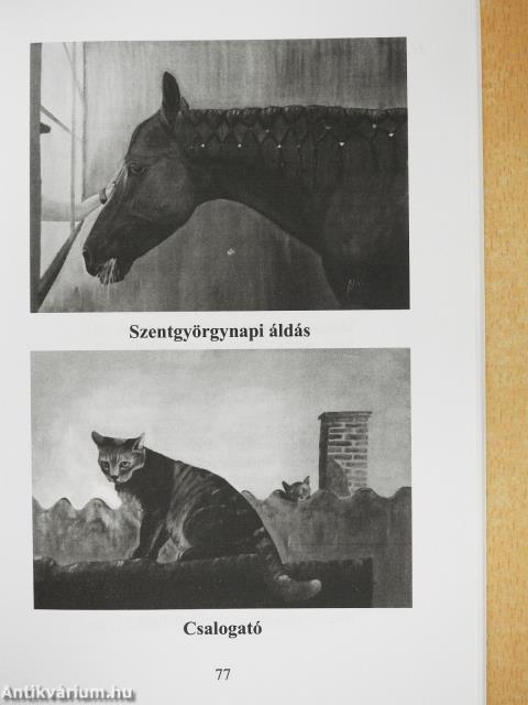 Három és fél évtized (dedikált példány)