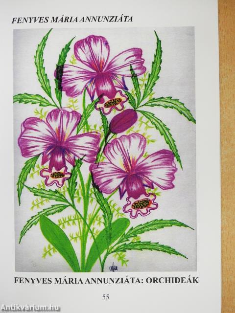 Három és fél évtized (dedikált példány)