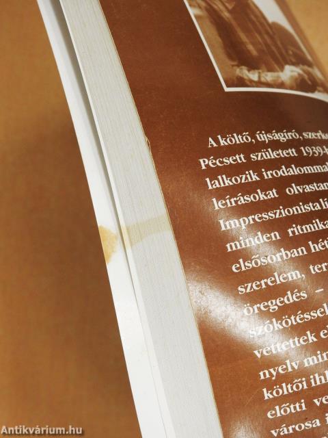 Esti füstölő (dedikált példány)