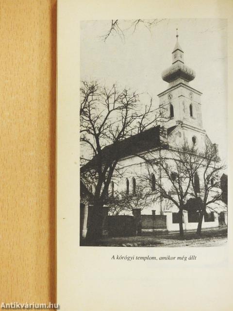 Magyarok a Délvidéken (dedikált példány)