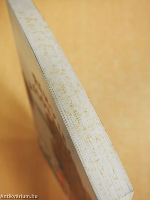 Rekviem a flottilláért (dedikált példány)